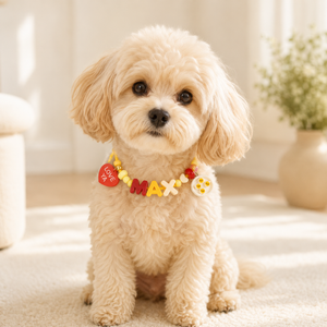 Custom Beaded Dog Initial Collar worn by a small dog