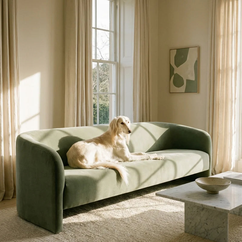 PurePaw Essential Groomer