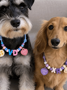 Two dogs wearing custom beaded initial collars