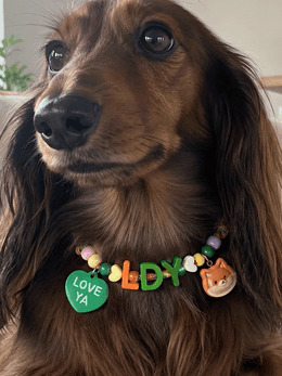 Dachshund wearing custom beaded initial collar