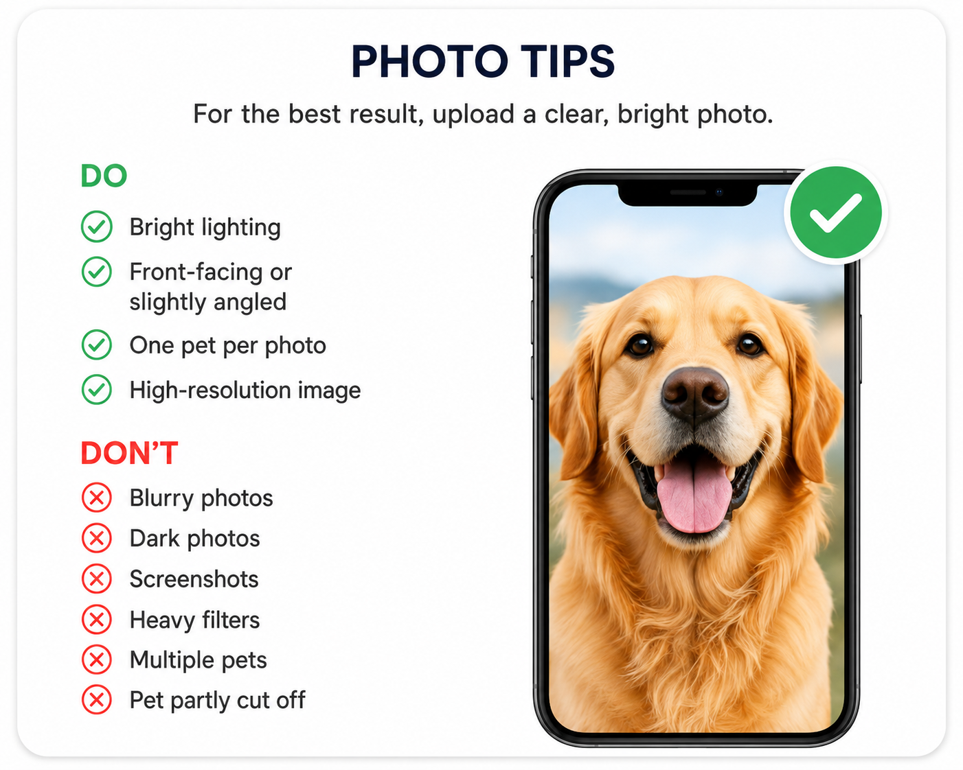 PHOTO TIPS